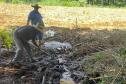 Cartilha Outorguinha ensina crianças de 8 a 10 a proteger as águas do Paraná