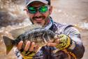 Novo ciclo do projeto Rio Vivo vai soltar 2,6 milhões de peixes nativos nas bacias do Paraná a partir deste mês