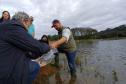 Novo ciclo do projeto Rio Vivo vai soltar 2,6 milhões de peixes nativos nas bacias do Paraná a partir deste mês