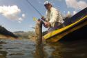 Novo ciclo do projeto Rio Vivo vai soltar 2,6 milhões de peixes nativos nas bacias do Paraná a partir deste mês