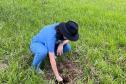 Ações ambientais para comemorar o Dia do Rio preveem a restauração de quatro hectares de mata ciliar em diferentes pontos do Paraná.