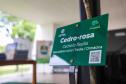 MON se transforma na casa da "muda 10 milhões" do programa Paraná Mais Verde