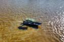 Nova fase do Rio Vivo começa com a soltura de 100 mil peixes no Rio Ivaí, no Noroeste