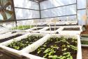 Paraná Mais Verde versão 2025 terá o início da reestruturação dos viveiros e laboratórios de sementes administrados pelo IAT
