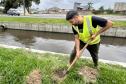 Matinhos: IAT finaliza reflorestamento do Canal da Avenida Paraná com 576 manacás-da-serra