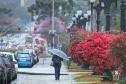 Chuva do fim de semana supera em até 84% a média mensal em algumas regiões do Paraná