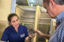 IAT fecha 2024 com 3.735 atendimentos à fauna silvestre no Paraná