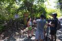 IAT começou a instalar placas educativas para preservar a fauna nativa da Ilha do Mel