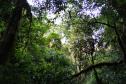Estado atualiza procedimentos do ICMS Ecológico; 59% das cidades recebem o benefício