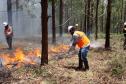 Voluntários podem se inscrever para curso de brigadista florestal