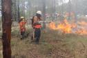 Voluntários podem se inscrever para curso de brigadista florestal