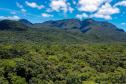 Estado atualiza procedimentos do ICMS Ecológico; 59% das cidades recebem o benefício