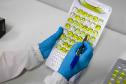 Composto por três laboratórios, a estrutura do IAT faz análises regulares de amostras de água, solo, sedimentos e peixes para a identificação de contaminantes e poluentes