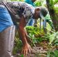 Voluntários participaram da ação de educação ambiental no Parque Estadual do Palmito, em Paranaguá, no Litoral do Paraná