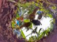 Voluntários participaram da ação de educação ambiental no Parque Estadual do Palmito, em Paranaguá, no Litoral do Paraná