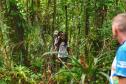 Voluntários participaram da ação de educação ambiental no Parque Estadual do Palmito, em Paranaguá, no Litoral do Paraná