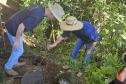 Dia Mundial da Água: mudas do IAT regeneram 264 hectares de mata ciliar
