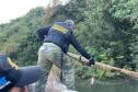 Operações comandadas pelo IAT durante o período de defeso da Piracema resultam em 44 quilos de peixes apreendidos e R$ 127 mil em multas.