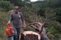 Ação coordenada pelo IAT e pela Iniciativa Campos Gerais promoveu o corte de pinus no Parque Estadual do Vale do Codó, em Jaguariaíva