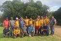 Ação coordenada pelo IAT e pela Iniciativa Campos Gerais promoveu o corte de pinus no Parque Estadual do Vale do Codó, em Jaguariaíva