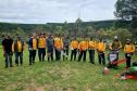 Ação coordenada pelo IAT e pela Iniciativa Campos Gerais promoveu o corte de pinus no Parque Estadual do Vale do Codó, em Jaguariaíva
