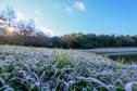 Primeira onda de frio chega ao Paraná semana que vem com termômetros perto de 0ºC