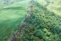 IAT identificou 478 hectares de área de vegetação danificada por fogo em quatro fazendas de Ribeirão Claro, no Norte Pioneiro