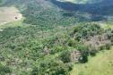 IAT identificou 478 hectares de área de vegetação danificada por fogo em quatro fazendas de Ribeirão Claro, no Norte Pioneiro