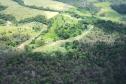 IAT identificou 478 hectares de área de vegetação danificada por fogo em quatro fazendas de Ribeirão Claro, no Norte Pioneiro