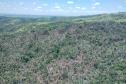 IAT identificou 478 hectares de área de vegetação danificada por fogo em quatro fazendas de Ribeirão Claro, no Norte Pioneiro