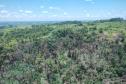 IAT identificou 478 hectares de área de vegetação danificada por fogo em quatro fazendas de Ribeirão Claro, no Norte Pioneiro