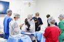 Rede coordenada pelo IAT salvou 1.483 animais