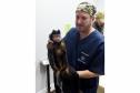 20 macacos-prego resgatados pelo IAT 