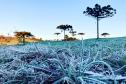 Primeira onda de frio chega ao Paraná semana que vem com termômetros perto de 0ºC