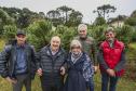 Paraná fortalece parceria com Embrapa Florestas em pesquisa para conservação da Araucária
