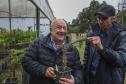 Paraná fortalece parceria com Embrapa Florestas em pesquisa para conservação da Araucária