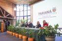 Encontro promovido pelo Estado enfatiza benefícios da arborização urbana planejada