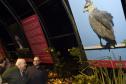 Paraná celebra meio ambiente com exposição sobre animais ameaçados; visitação é gratuita