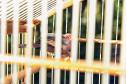 Instituto Água e Terra iniciou o processo de avaliação clínica de animais vítimas do tráfico internacional resgatados pela Polícia Civil 
