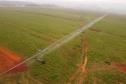 Construção de poços artesianos e implantação de projetos de irrigação são algumas das ações estabelecidas pelo Governo do Paraná para combater a estiagem.