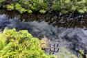 Semana do Meio Ambiente: 5 motivos que fazem do Paraná o estado mais sustentável do País