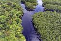 Semana do Meio Ambiente: 5 motivos que fazem do Paraná o estado mais sustentável do País
