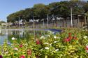 I Encontro Estadual de Arborização Urbana busca ampliar o plantio planejados de árvores nas cidades do Paraná