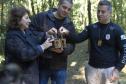 Pássaros resgatados do tráfico de animais começaram a voltar para a natureza nesta quarta-feira (25)