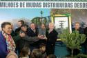 Jardim do Palácio Iguaçu recebe clone de araucária de 700 anos