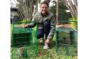 IAT captura dois saguis-de-tufos-pretos em Foz do Iguaçu, espécie exótica na região