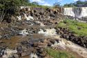 Semana do Meio Ambiente: 5 motivos que fazem do Paraná o estado mais sustentável do País