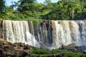 Semana do Meio Ambiente: 5 motivos que fazem do Paraná o estado mais sustentável do País