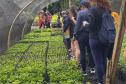 IAT distribui 30,1 mil mudas de espécies nativas durante a Semana do Meio Ambiente