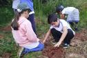 IAT distribui 30,1 mil mudas de espécies nativas durante a Semana do Meio Ambiente